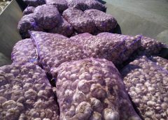 ทหารพราน 2110 จับกระเทียมแห้งจำนวน 100 กระสอบ ริมฝั่งโขง