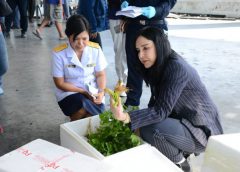 “มนัญญาลั่น “ประสานสาธารณสุขจัดตั้งห้องแลปตรวจสารตกค้างในสินค้าเกษตรนำเข้า ชี้ด่านเชียงของไม่มีห้องตรวจสารเคมี ทั้งที่นำเข้าผักผลไม้จำนวนมาก  สุ่มเก็บตัวอย่างมาตรวจ กว่าจะได้ผล รถขนส่งถึงตลาดไทและตลาดสี่มุมเมือง พร้อมกระจายไปทั่วประเทศ