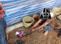 ปกครอง​ ทหาร​ ตำรว​จ​ จับพม่า นั่งเฝ้ายา เลี้ยงไก่บังหน้า ได้ของกลางจำนวนมาก แต่คนไทยไหวตัวหนีรอด