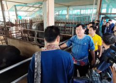 “รมช.ประภัตร” ผุดไอเดียพลิกฟื้นอุตสาหกรรมควายไทยสร้างรายได้ให้เกษตรกร