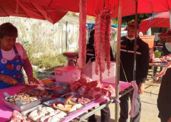 ด่านกักกันสัตว์ประจวบฯ เฝ้าระวังเข้ม ป้องกันโรคอหิวาต์หมูในพม่าทะลักเข้าไทย