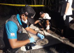 หนุ่มดักหนูนา วัย 36 ปี  พบโครงกระดูกมนุษย์ กลางป่า บ้านโพธิ์งาม ม.4 ต.โพธิ์งาม อ.ประจันตคาม