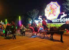 ประเพณีแห่ดาว วัดสองคอน จังหวัดมุกดาหาร