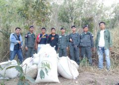 ยิงสู้จนท.!ตชด.ด่านสิงขรปะทะเดือดขบวนการค้ายาเสพติดข้ามชาติยึดของกลางกระท่อมผงบดมูลค่ากว่า 1 ล้านบาท