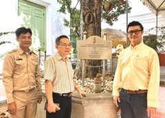 ชมรมรวมใจภักดิ์ ร่วมดูแลต้นไม้ทรงปลูกวัดบวรฯ รำลึก 5 ธันวา