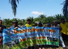 เครือข่ายเกษตรกรวิถีธรรมชาติ จ.ประจวบคีรีขันธ์ ร่วมกิจกรรมลงแขกเกี่ยวข้าวในโครงการดำนาวันแม่เกี่ยวข้าววันพ่อ เกษตรกรวิถีธรรมชาติ