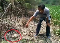 คนหาผึ้งผงะ พบหัวกะโหลกมนุษย์อยู่ในป่าริมคลอง ชาวบ้านคาดว่าเป็นคนหาหน่อไม้ที่หายตัวลึกลับไปเมื่อ2ปีก่อน