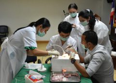 เปิดอบรมการเรียนการสอนพัฒนาศักยภาพของแพทย์ประจำบ้าน สาขาศัลยศาสตร์  ใน“โครงการ Anastomosis Workshop for surgical resident” ครั้งที่ 2