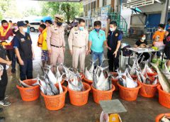 ศรชล.จว.ระยอง ตรวจเข้ม สร้างความมั่นใจอาหารทะเลปลอดภัย