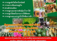 ยุคโควิด ทำอาชีพอะไรดี เรามีข่าวดีมาบอกกันจ้า กับกิจกรรมการฝึกอบรมอาชีพ ที่เราสามารถจะนำไปประกอบอาชีพ หารายได้ ได้จริง…