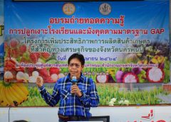 เกษตรนครพนม เสริมความรู้ !! หนุนเกษตรกรปลูกเงาะโรงเรียน และมังคุดเพื่อการค้า ยกระดับการผลิตไม้ผลนครพนม