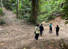 DSI ลงตรวจพื้นที่บุกรุก ในเขตป่าสงวนแห่งชาติ ป่าเทือกเขานาคเกิด บริเวณเหนืออ่างเก็บน้ำบางวาด ตำบลกะทู้ อำเภอกะทู้ จังหวัดภูเก็ต ประมาณ 108 ไร่