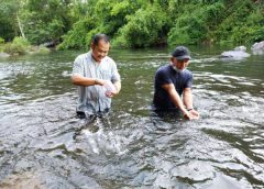 ฝูงปลาตะเพียนหางแดงแสนเชื่องหลายหมื่นตัวเล่นกับนักท่องเที่ยวแบบไม่กลัวและไม่หนีถึงขนาดจับตัวปลาได้เลย