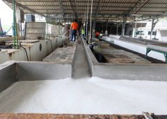 กยท. เชื่อไม่กระทบตลาดยางหลังศรีตรัง หยุดการผลิตชั่วคราว ในโรงงานสาขาตรัง-สุราษฎร์ฯ 3 วันนี้ ชี้ ปริมาณยางไม่ถึง 2 พันตัน และยางเพิ่งเริ่มฤดูเปิดกรีด