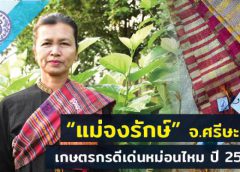 “แม่จงรักษ์” เกษตรกรดีเด่นหม่อนไหม ปี 2564 พัฒนา“ผ้าหางกระรอกจกดาว” และผ้ายกดอก “ลายดอกจำปี” ขายออนไลน์เพิ่มรายได้แก่ชุมชนช่วงโควิด