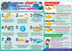 กรมประมงเตือนเกษตรกร เฝ้าระวังโรคสัตว์น้ำในช่วงฤดูฝน