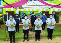 “อนุทิน-มนัญญา” Kick Off โครงการส่งเสริมอาชีพปลูกฟ้าทลายโจรสู้ภัยโควิด-19 ป้อนสาธารณสุข กรมวิชาการเปิดเว็บไซต์แจกฟรีพันธุ์ฟ้าทะลายโจร