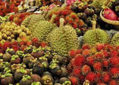 “เฉลิมชัย” สั่ง“ฟรุ้ทบอร์ด”เดินหน้าช่วย”ลำไย-เงาะ-ลองกอง”ต่อเนื่องรองรับผลผลิตที่กำลังออก จนสิ้นฤดูกาลผลิตผลไม้ปี64