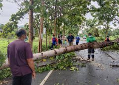 เกิดพายุลมฝนแรง ส่งผลให้บ้านเรือนประชาชนได้รับความเสียหายต้นไม้หักกีดขวางเส้นทางสัญจรที่ตำบลเขาพระหลายเส้นทาง 