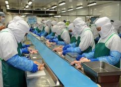 สมาคมส่งเสริมการเลี้ยงไก่ฯ จี้กระทรวงพาณิชย์ เร่งแก้ไข้ การส่งออก