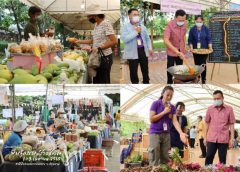 พิพิธภัณฑ์การเกษตรฯ”  จัดงาน  นิทรรศการหมุนเวียนพันธุกรรมสร้างชีวิต”  1-3 เมย.นี้ รำลึกในพระมหากรุณาธิคุณสมเด็จพระกนิษฐาธิราชเจ้ากรมสมเด็จพระเทพรัตนราชสุดาฯ