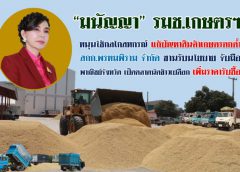 “มนัญญา” รมช.เกษตรฯ หนุนใช้กลไกสหกรณ์ แก้ปัญหาสินค้าเกษตรตกต่ำ สกก.พรหมพิราม จำกัด ขานรับนโยบาย จับมือพาณิชย์จังหวัด เปิดตลาดนัดข้าวเปลือก เพิ่มราคารับซื้อ