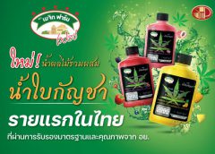 “SNNP” เขย่าตลาดเครื่องดื่ม ส่ง “เมจิก ฟาร์ม เฟรช น้ำผลไม้รวมผสมน้ำใบกัญชา” ดับกระหายรับซัมเมอร์กับ 3 รสชาติโดนใจ ผ่านการรับรองจาก อย. รายแรกของไทย