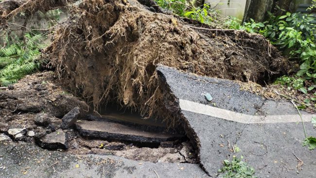 ฝนตกหนักหลายวันต้นไม้ล้มทับหลังกำแพง ศาลาวัดหลังคาบ้านเสียหาย