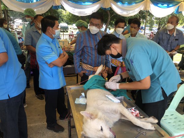 จ.ร้อยเอ็ด จัดพิธีมอบกรรมสิทธิ์และไถ่ชีวิตโค-กระบือ แก่เกษตรกร เพื่อเฉลิมพระเกียรติและถวายเป็นพระราชกุศล สมเด็จพระนางเจ้าสิริกิติ์ พระบรมราชินีนาถ พระบรมราชชนนี พันปีหลวง