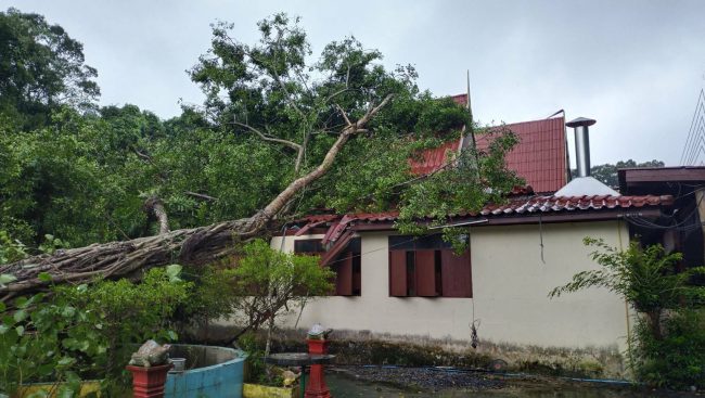 พายุโนรู ส่งผลฝนตกนานหลายชั่วโมงต้นไม้ใหญ่ล้มทับบ้าน-ศาลาวัดพัง