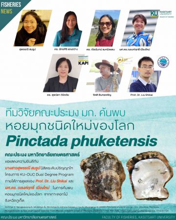 ✅️มหาวิทยาลัยเกษตรศาสตร์ “ทีมวิจัยไทย-จีน” ค้นพบหอยมุกชนิดใหม่ของโลก จากทะเลภูเก็ต