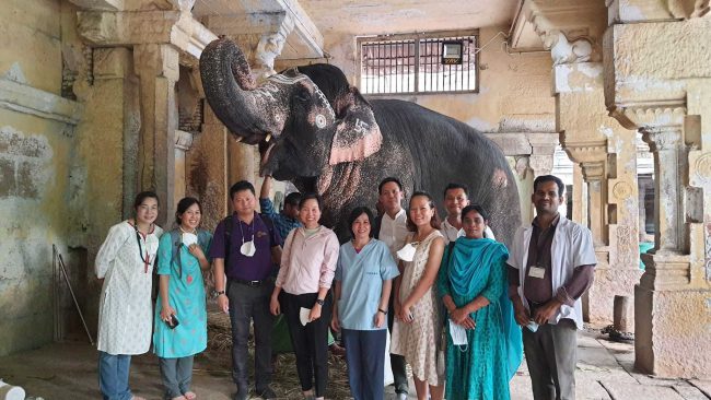 กงสุลใหญ่ เมืองเจนไน ประเทศอินดีย ส่งหนังสือขอบคุณทีมสัตวแพทย์ไทยร่วมตรวจรักษาช้างอินเดีย “ภะวาตี” ที่มีการตาเจ็บทั้งสองข้าง