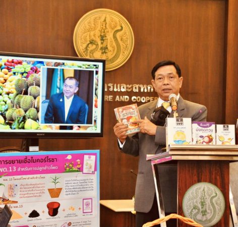 “เฉลิมชัย”มอบฟรุ้ทบอร์ดเร่งเดินหน้า 23 มาตรการเชิงรุกภายใต้แผนบริหารจัดการผลไม้ฤดูกาลผลิตปี 2566 “อลงกรณ์”ย้ำนโยบายรักษาคุณภาพมาตรฐานมุ่งสร้างแบรนด์ยกระดับราคาผลไม้ไทย กำชับใช้มาตรการเด็ดขาดป้องกันปัญหาทุเรียนอ่อนทุเรียนสวมสิทธิ์