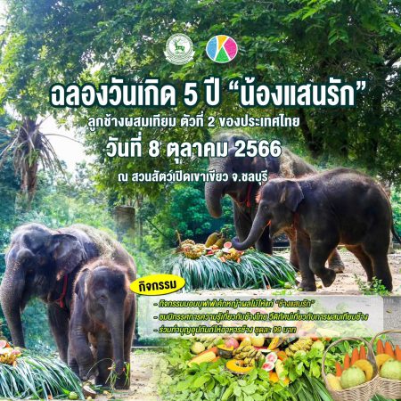 ZPOT เชิญชวนฉลองครบรอบวันเกิด 5 ปี “น้องแสนรัก” ลูกช้างผสมเทียม ตัวที่ 2 ของประเทศไทย