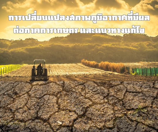 สมาคมเทคโนโลยีชีวภาพสัมพันธ์ จัดประชุมใหญ่สามัญประจำปี 2566 พร้อมแถลงข่าว การเปลี่ยนแปลงสภาพภูมิอากาศที่มีผลต่อภาคการเกษตร และแนวทางแก้ไข