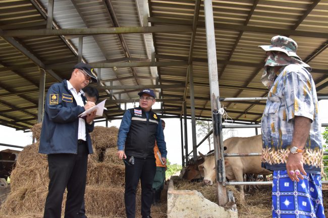 ป.ป.ช.ลงพื้นที่สุ่มตรวจ โครงการโคบาลชายแดนใต้ เน้นย้ำป้องกันการส่งมอบวัวในลักษณะสอดไส้