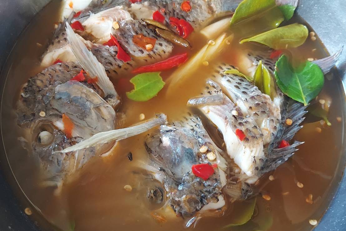 “กิน” กู้วิกฤตปลาหมอคางดำ ผุดไอเดียเมนูอร่อย มีประโยชน์ สร้างโอกาสทำรายได้ให้ชุมชน