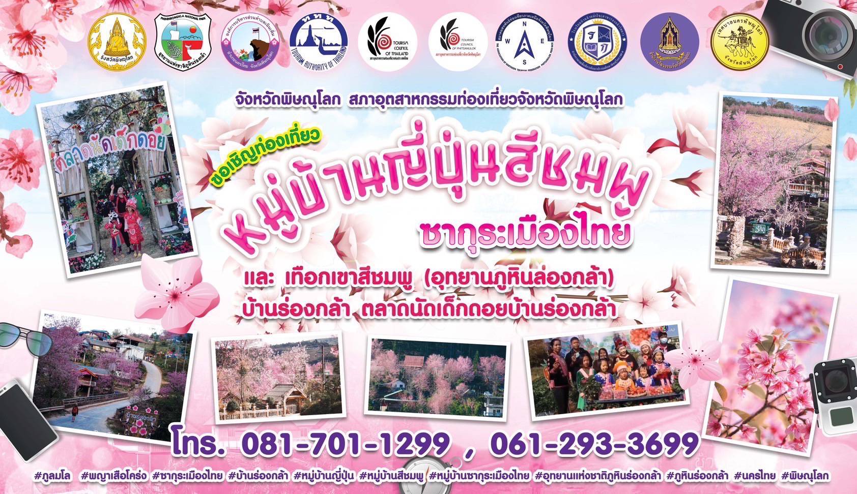 จ.พิษณุโลก เพิ่มพื้นที่ปลูกซากุระเมืองไทย บนที่ดินของ พม. จังหวัดพิษณุโลก