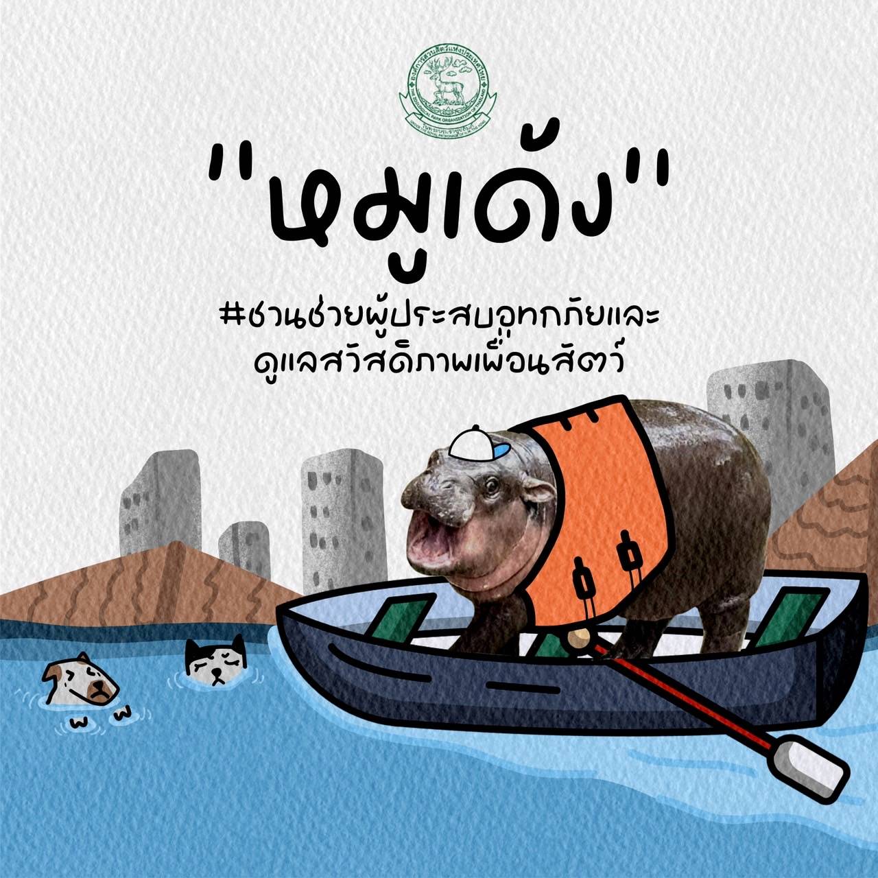 องค์การสวนสัตว์ฯ เปิดบ้านต้อนรับพันธมิตรทำกิจกรรมร่วมกับ “หมูเด้ง” ชวนช่วยผู้ประสบอุทกภัยและดูแลสวัสดิภาพเพื่อนสัตว์