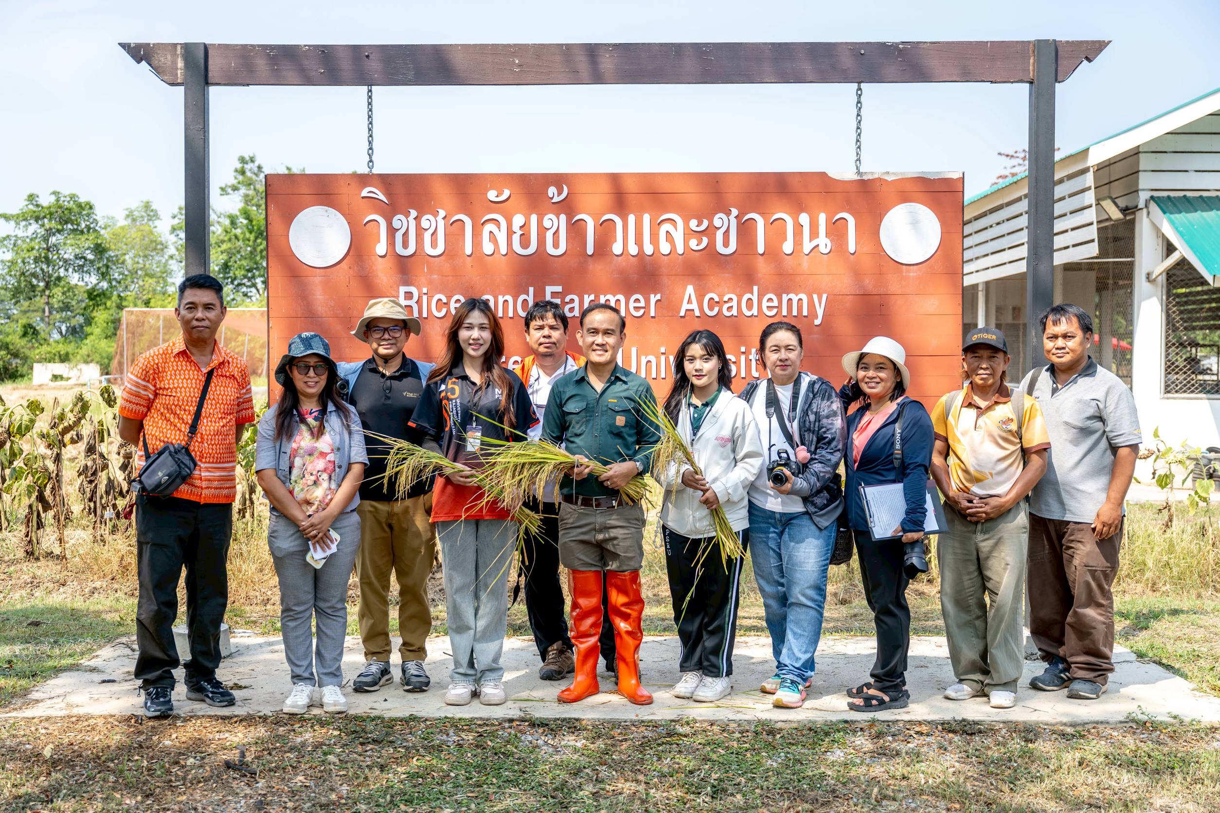 มหาวิทยาลัยนเรศวร วิจัยข้าวเจ้าพันธุ์ใหม่ “ ข้าวพระองค์ขาว” คุณสมบัติเด่น ผลผลิตต่อไร่สูง    