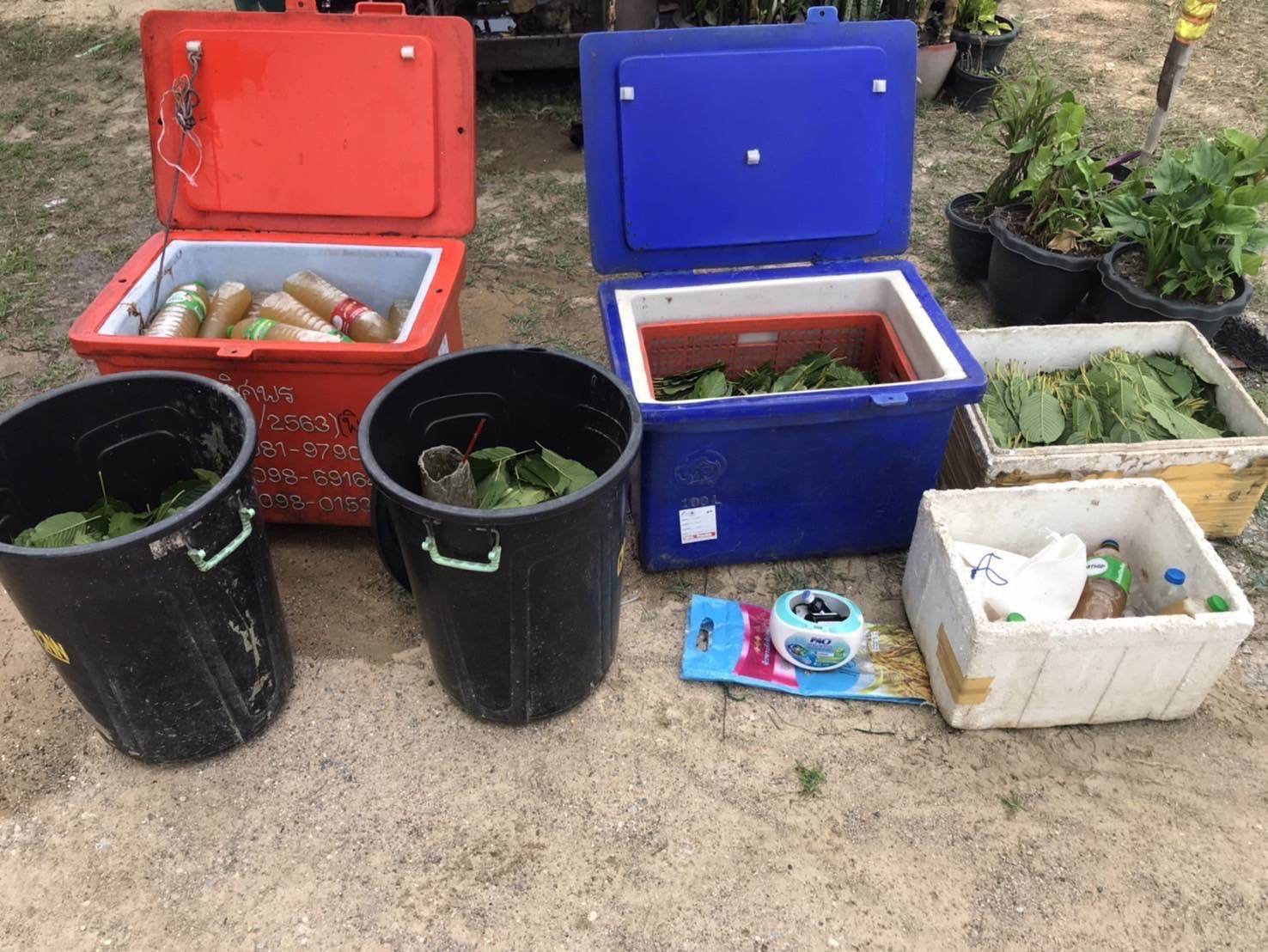 ปกครอง ตำรวจ สาธารณสุข รวบพ่อค้าลักลอบขายกะท่อม พร้อมของกลางหลายรายการ