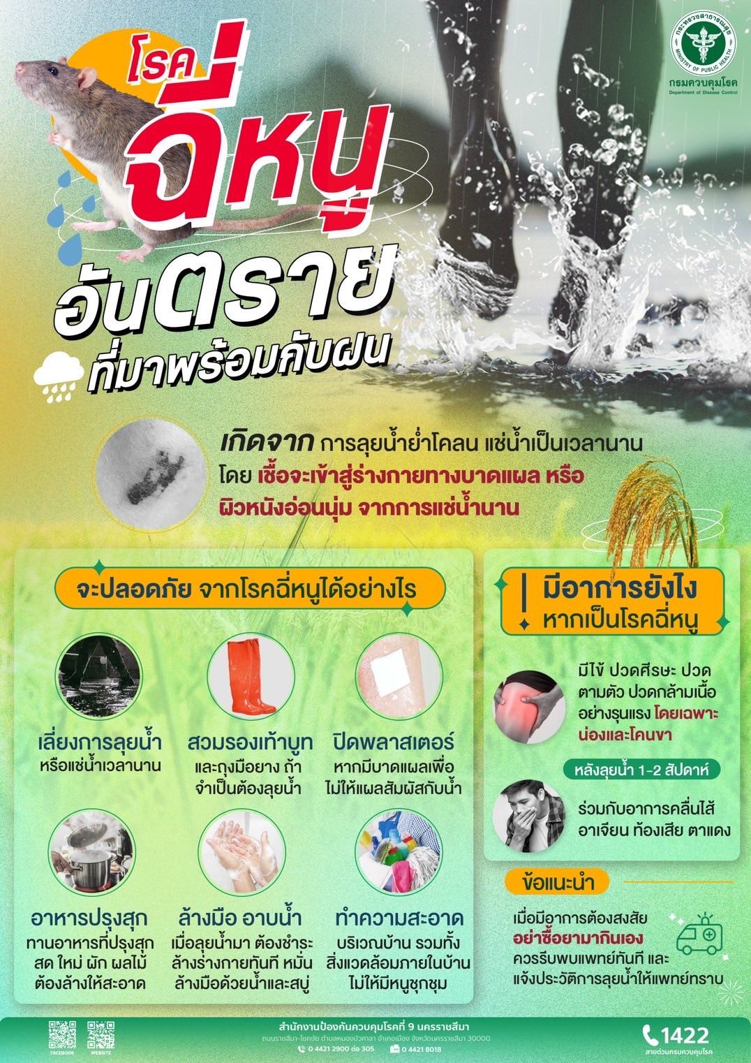 แพทย์ทหารเตือน “ลุยน้ำท่วมขัง เสี่ยง โรคไข้ฉี่หนู…ภัยร้ายอันตรายหน้าฝน”