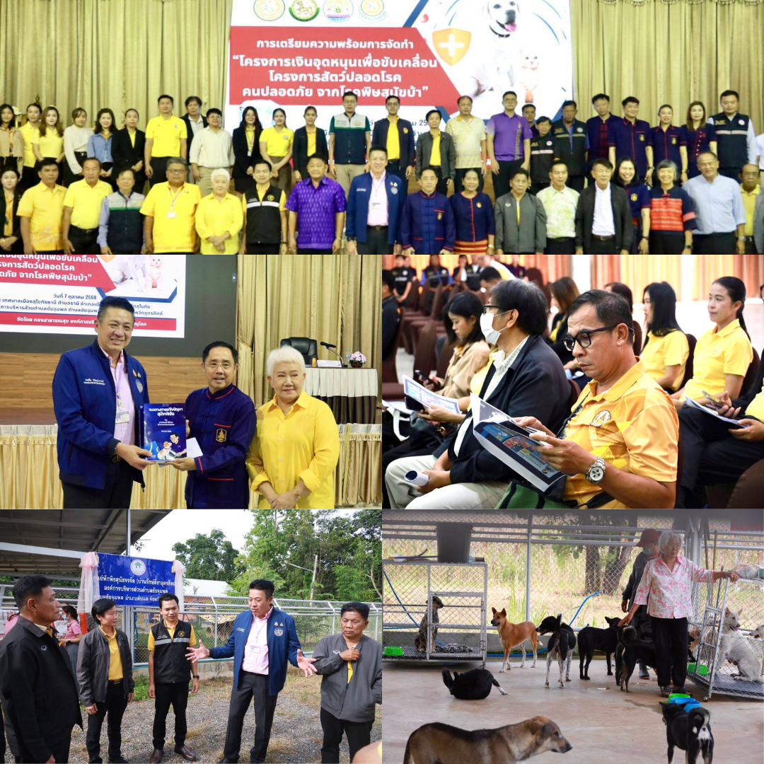 นายก อบจ.พิษณุโลก นำคณะผู้บริหาร อปท. ส่วนราชการ และภาคีเครือข่าย ศึกษาดูงานศูนย์พักพิงสุนัขจรจัด จ.สุโขทัย-จ.อุตรดิตถ์ เพื่อหาแนวทางแก้ปัญหาสุนัขจรจัดในจังหวัดพิษณุโลกอย่างยั่งยืน