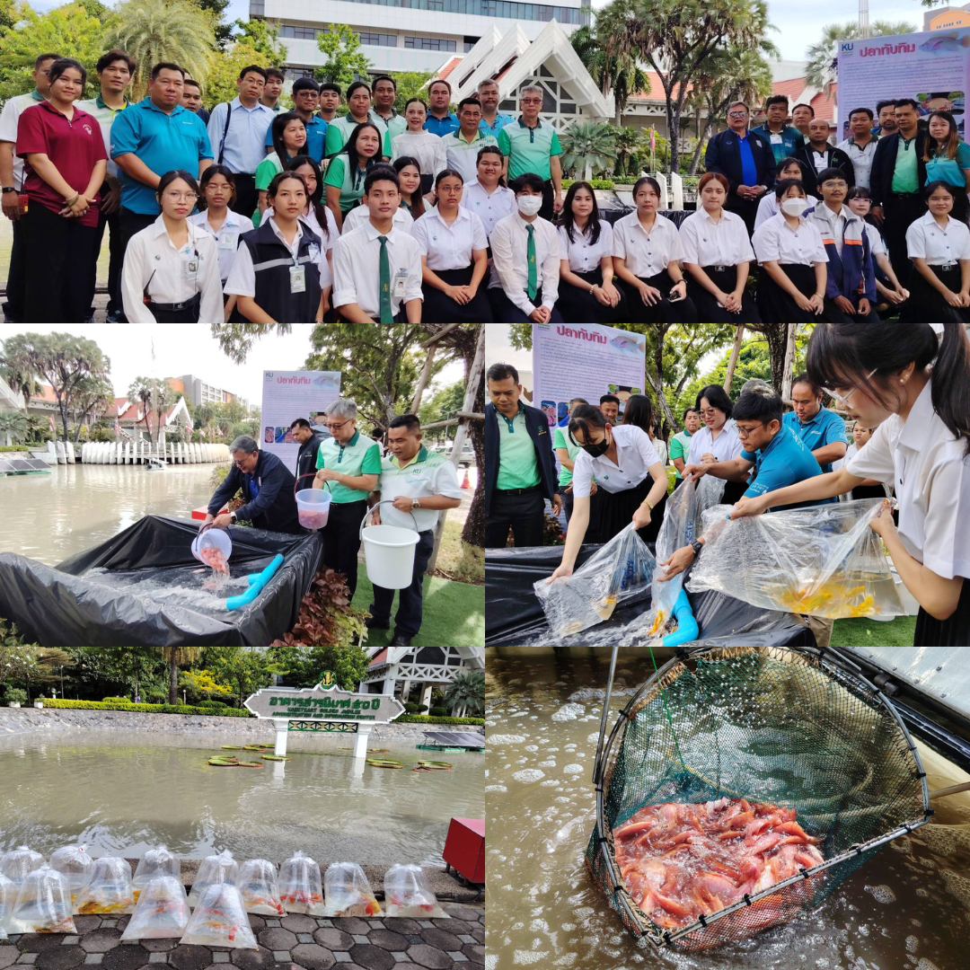 มหาวิทยาลัยเกษตรศาสตร์ เดินหน้าสู่ความเป็นกลางทางคาร์บอน ปล่อยปลา 3,700 ตัว พัฒนาสิ่งแวดล้อมภายในวิทยาเขต