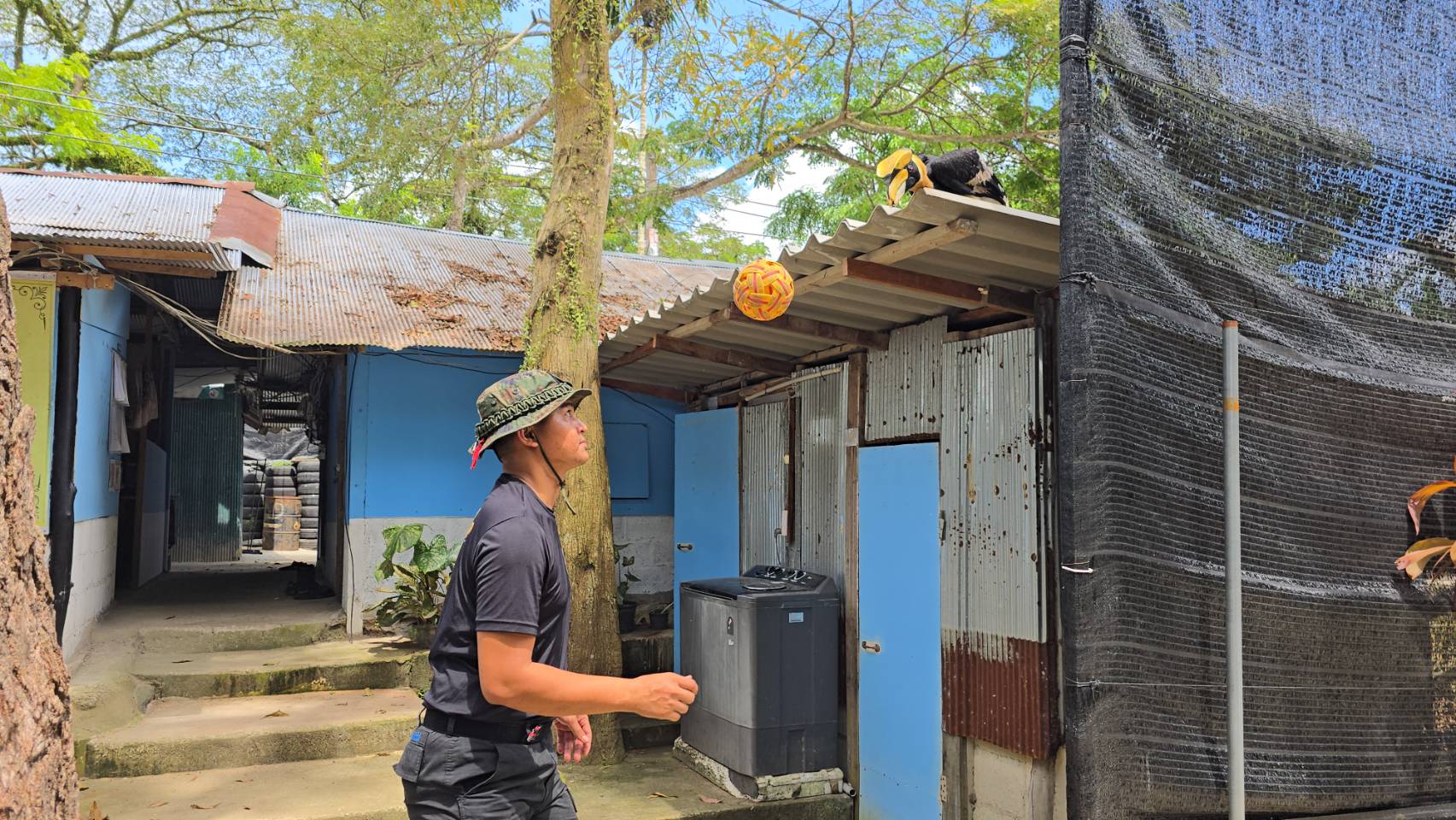 นกเงือกแสนรู้ 1 เดียวในโลกโชว์ลีลาเดาะตะกร้อสุดคล่องแคล่วกับทหาร