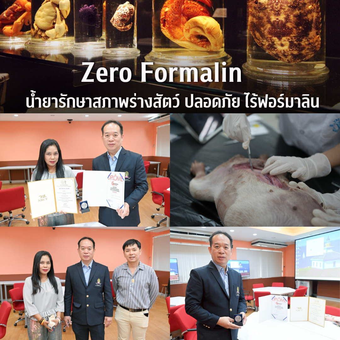 Zero Formalin น้ำยารักษาสภาพร่างสัตว์ เพื่อห้องเรียนปลอดภัย ไร้ฟอร์มาลิน
